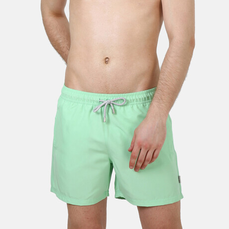 Giovanny Swim Shorts // Mint (S)