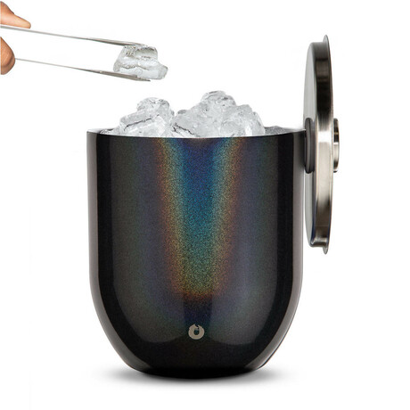Insulated Stainless Steel Ice Bucket + Lid and Tongs // Shimmer Black