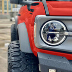 SoFlo Stallion // Red