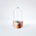 Ford Product Design Speakeasy Smoker Mini // Clear
