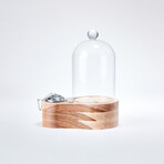 Ford Product Design Speakeasy Smoker Mini // Clear