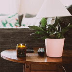 Scented Candle // Bachelor Pad // Set of 3