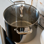 Concentrix Stainless Steel Pot + Lid // 8-Quart