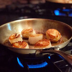 Duratux Tri-Ply Stainless Steel Frypan (8")