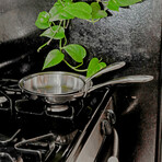 Duratux Tri-Ply Stainless Steel Frypan (8")