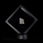 Seymchan Meteorite External Part Slice // Floating Display Stand