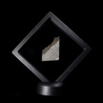 Seymchan Iron Meteorite External Part Slice // Floating Display Stand