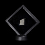 Seymchan Meteorite External Part Slice // Floating Display Stand