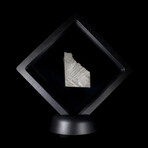 Seymchan Iron Meteorite External Part Slice // Floating Display Stand