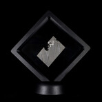 Seymchan Iron Meteorite with Minor Olivine // Floating Display Stand