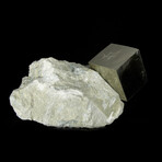Cubic Pyrite Crystal on Matrix v.1