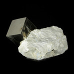 Cubic Pyrite Crystal on Matrix v.1