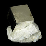 Cubic Pyrite Crystal on Matrix v.1