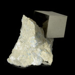 Cubic Pyrite Crystal on Matrix v.3