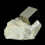 Cubic Pyrite Crystal on Matrix v.2