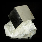 Cubic Pyrite Crystal on Matrix v.1