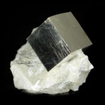 Cubic Pyrite Crystal on Matrix v.1