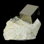 Cubic Pyrite Crystal on Matrix v.2