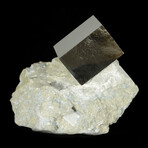 Cubic Pyrite Crystal on Matrix v.2