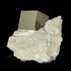 Cubic Pyrite Crystal on Matrix v.3