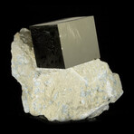 Cubic Pyrite Crystal on Matrix v.3