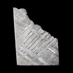 Seymchan Iron Meteorite External Part Slice // Floating Display Stand