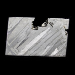 Seymchan Iron Meteorite with Minor Olivine // Floating Display Stand