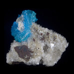 Exceptional Cavansite on Gemmy Miniature Heulandite