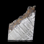 Seymchan Iron Meteorite External Part Slice // Floating Display Stand