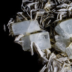 Aquamarine & Muscovite on Matrix