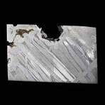 Seymchan Iron Meteorite with Minor Olivine // Floating Display Stand