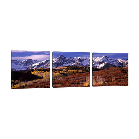 Mountains covered with snow and fall colors, near Telluride, Colorado, USA by Panoramic Images (36"W x 12"H x 0.75"D)