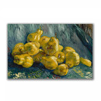 Still Life with Quince Pears (17.7"H x 27.5"W x 1.1"D)