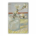 Blossoming Almond Branch in a Glass (27.5"H x 17.7"L x 1.1"D)