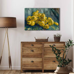 Still Life with Quince Pears (17.7"H x 27.5"W x 1.1"D)