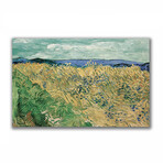 Wheat Field with Cornflowers (17.7"H x 27.5"W x 1.1"D)