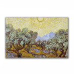 Olive Trees with Yellow Sky and Sun (17.7"H x 27.5"W x 1.1"D)
