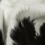 Natural Kobe Cowhide Rug // 5' X 7' (Brown & White)