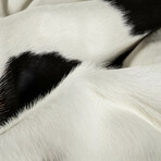 Natural Kobe Cowhide Rug // 6' X 7' (Brown & White)