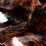 Natural Kobe Cowhide Rug // 5' X 7' (Classic Brindle)