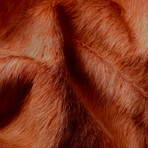 Geneva Cowhide Rug // 6' X 7' (Black)