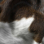 Natural Kobe Cowhide Rug // 6' X 7' (Classic Brindle)