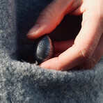 Thinking Egg // Nest II // Set Of 5