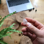 Thinking Egg // Nest II // Set Of 5