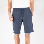 Trenton Shorts // Navy (M)