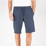 Trenton Shorts // Navy (L)