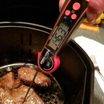 Digital Thermometer // For Grill + Kitchen