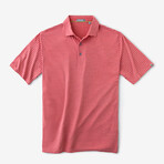 Cloud Golf Polo Brookline Stripe // Red Heather + White (S)