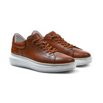 Leather Sneaker // Style 1 // Tobacco (Euro: 41)