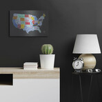 Massive Usa License Plate Map by Design Turnpike (12"H x 16"W x 0.13"D)